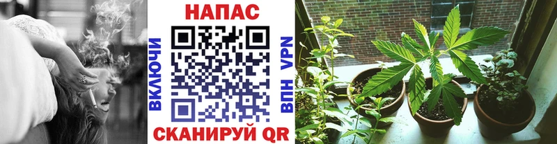 Марихуана тримм  mega как войти  Луза  наркота 